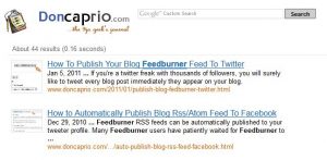 google adsense custom search displaying result for homepage only
