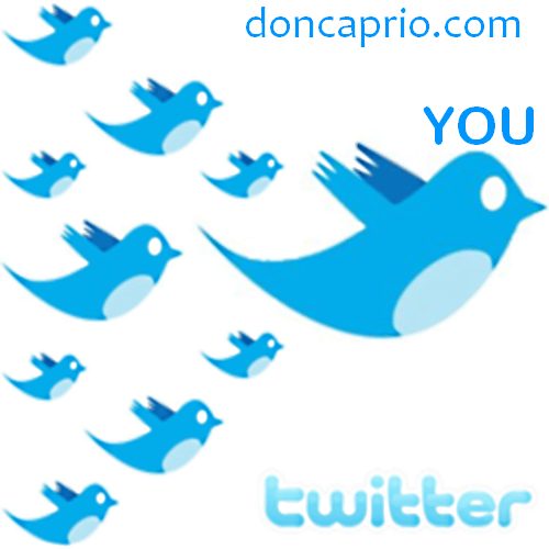 Best Websites & Ways That Get You Hundreds of Twitter Followers Daily for Free