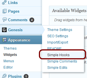 How to Add Google Adsense / HTML Codes to Genesis Without A Plugin
