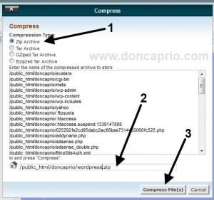 upgrade wordpress