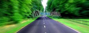 speed-wordpress-up