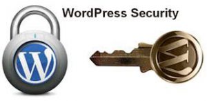WordPress-Safety,Safety for wordpress,wp Safety,