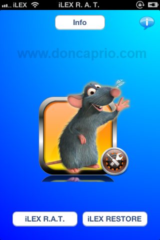 ilex rat options