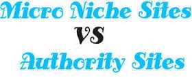 micro niche blog vs authority blog