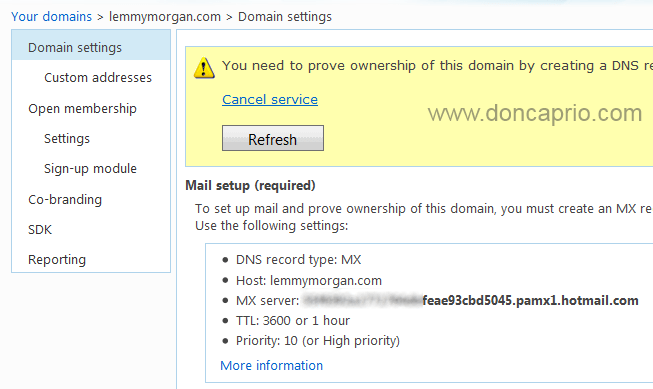 live custom email setup for domain