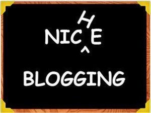 niche blogging