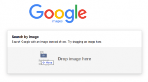 google image search
