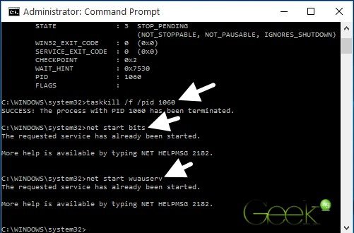 windows update error 0x80080008 fix