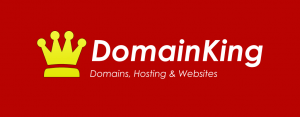Domainking-logo