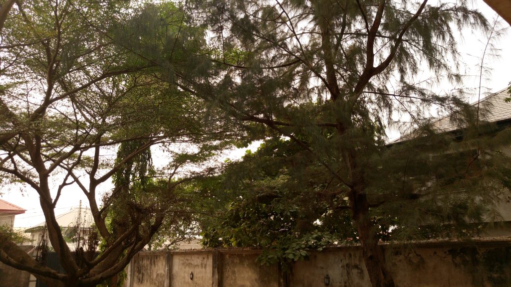 infinix zero 3 camera sample 6 - outdoor