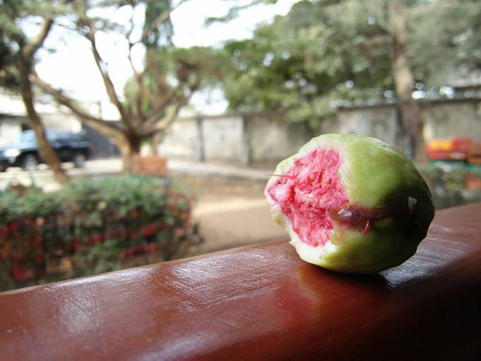 image taken with huawei honor 6 plus in wide aperture mode