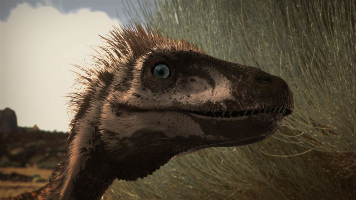 The Dinosaurs Of Nigeria’s Information Technology Sector Are The Worst