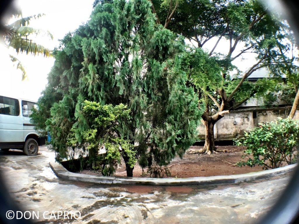 wide angle lens demo
