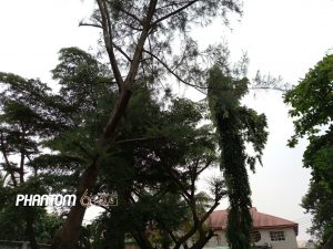 img_20161013_180509
