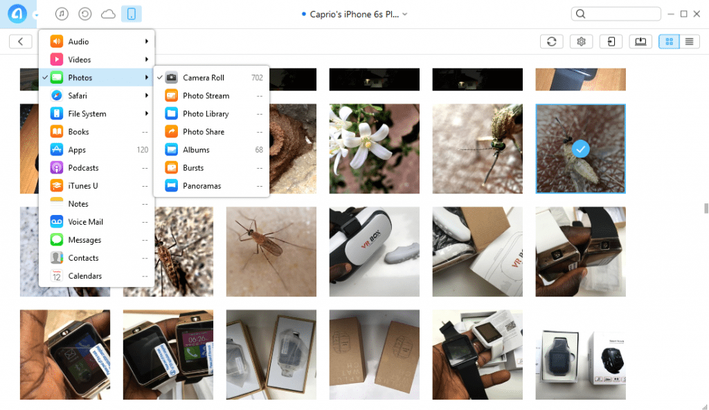 photo management