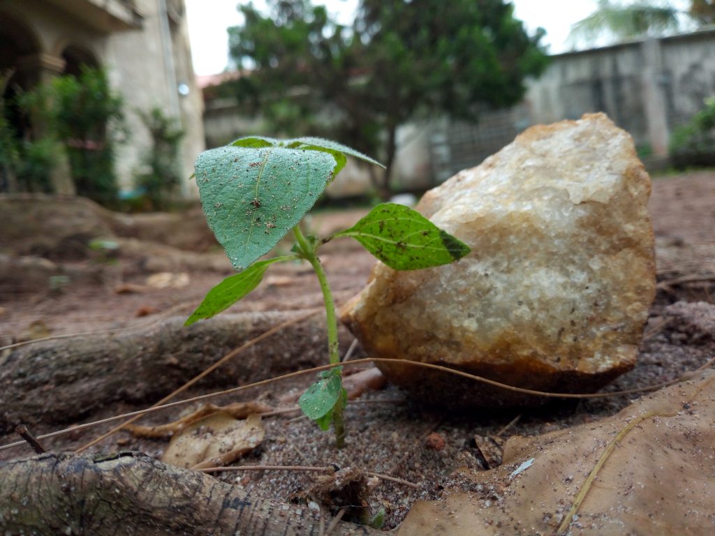 tecno l9 plus camera test