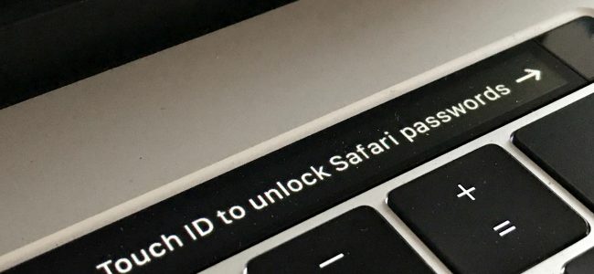 safari passwords