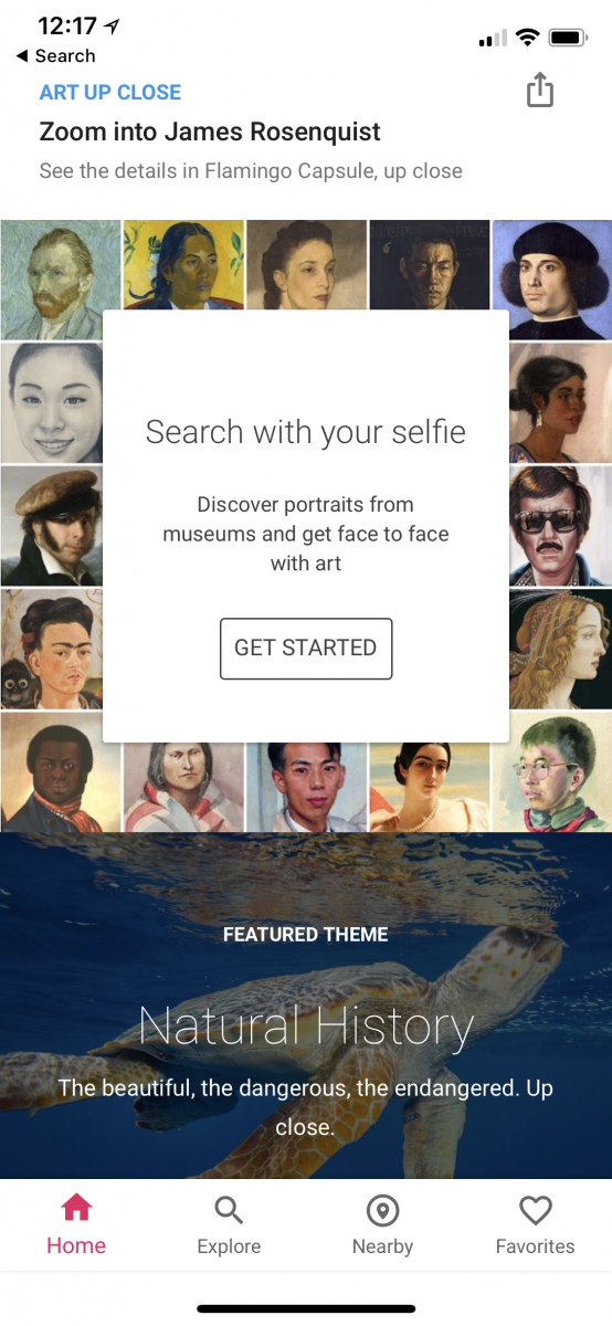 google arts and culture outside the US