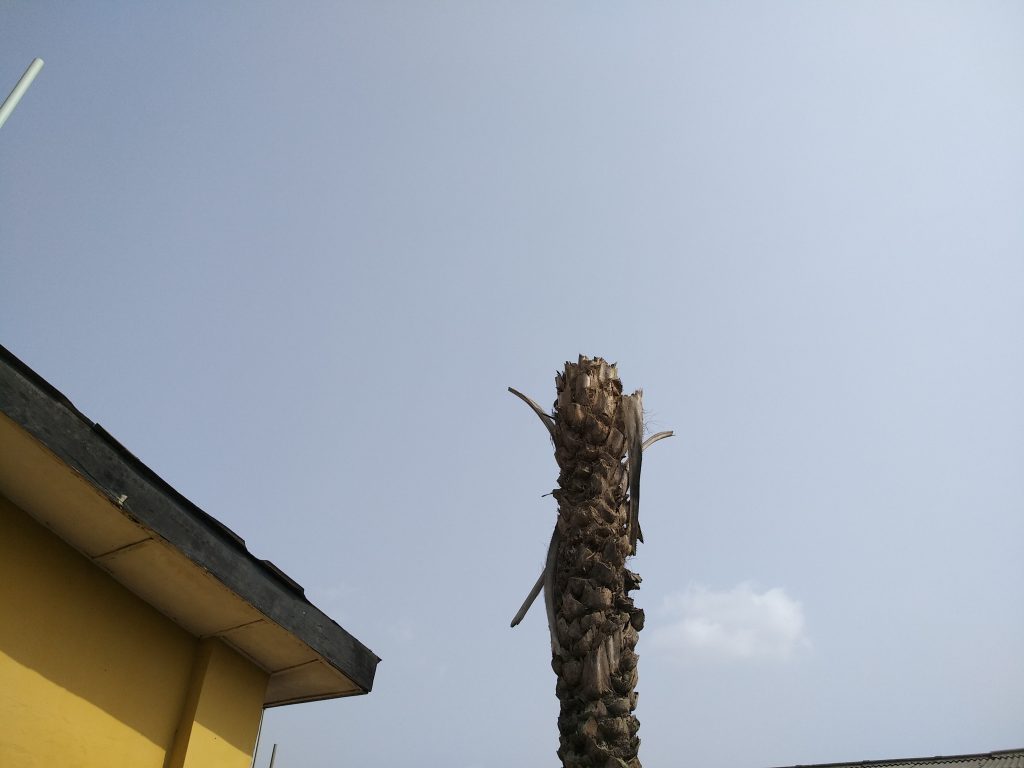 mi max 2 camera sample