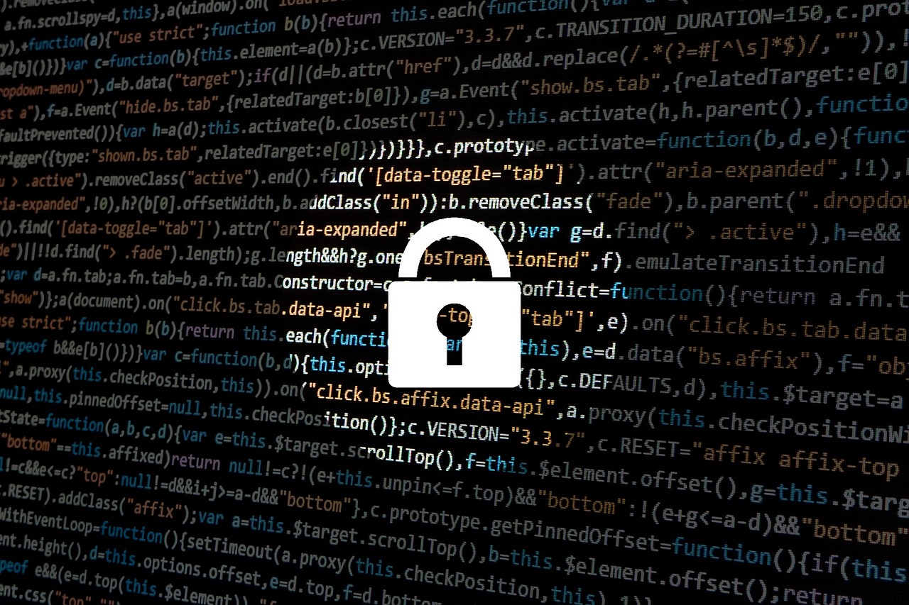 Privacy No Longer Exists: A Look at Our Connected World