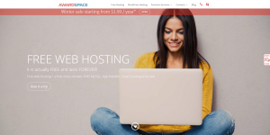 web host