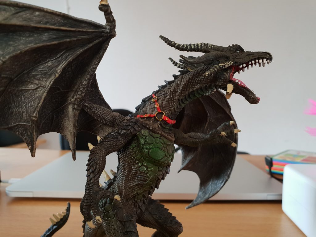 samsung galaxy s9+ sample photo
