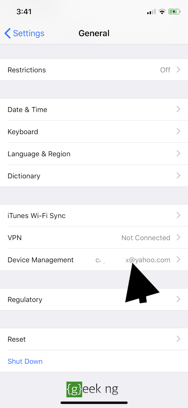 trust developer ios settings