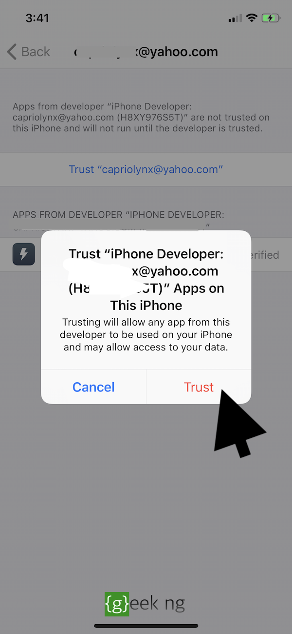 trust developer ios settings