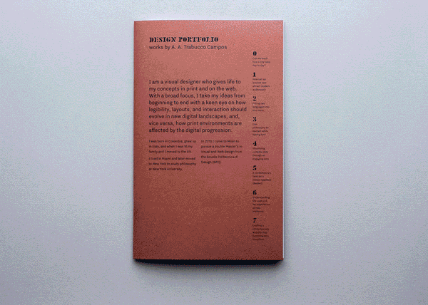 http://payload270.cargocollective.com/1/0/8026/7712351/trabuccocampos_portfolio_2014.gif