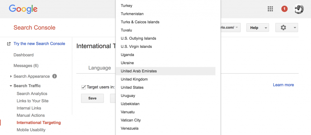 webmaster tools regular TLD international targeting.