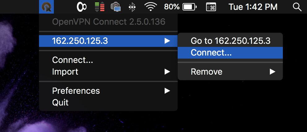 connect openvpn