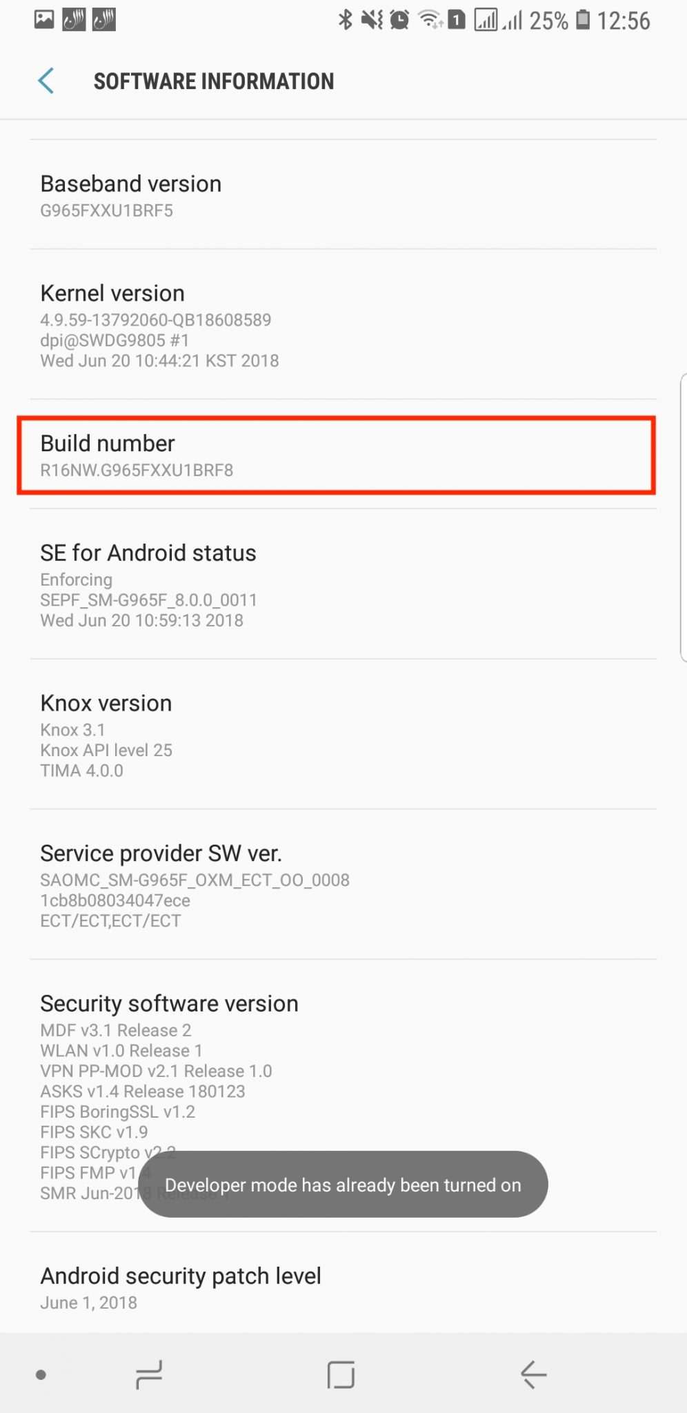 ENABLE DEVELOPER OPTIONS