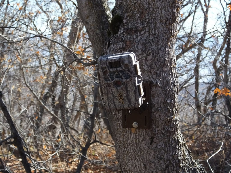 wireless game camera