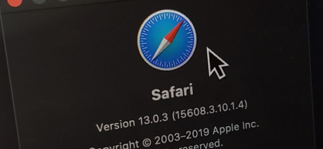safari