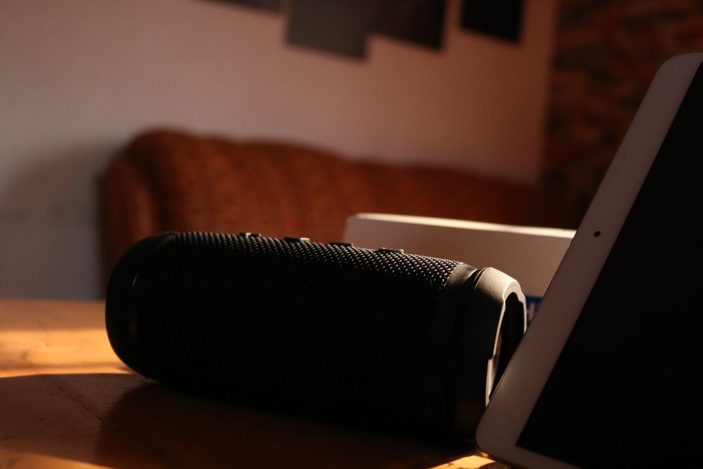 Speaker Verdict