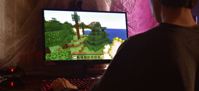 gamer